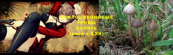 apvp Балахна