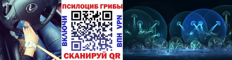 Псилоцибиновые грибы Psilocybe  Купить где  Беслан 